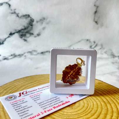 2 mukhi rudraksha with certificate
