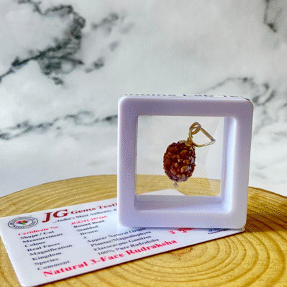 3 mukhi rudraksha with certificate