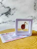 3 mukhi rudraksha with certificate
