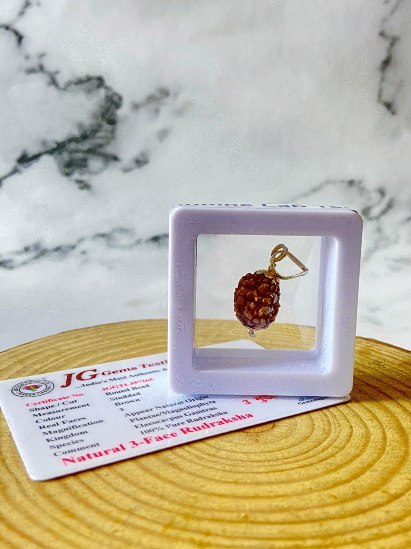 3 mukhi rudraksha with certificate