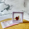 5 mukhi rudraksha with certificate