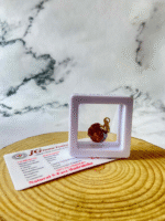 5 mukhi rudraksha with certificate