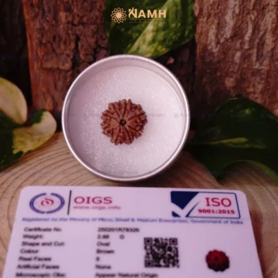 8 Mukhi Rudraksha