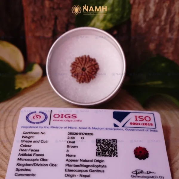 8 Mukhi Rudraksha