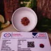 9 Mukhi Rudraksha
