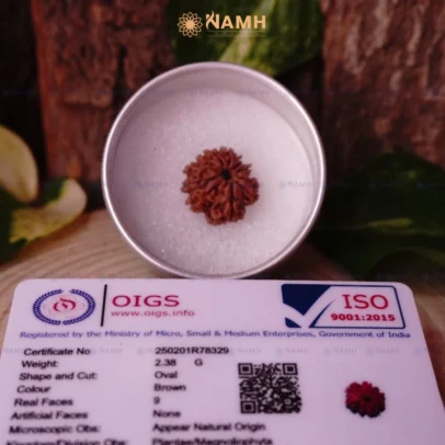 9 Mukhi Rudraksha