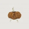 Gauri Shankar Rudraksha Nepali Original