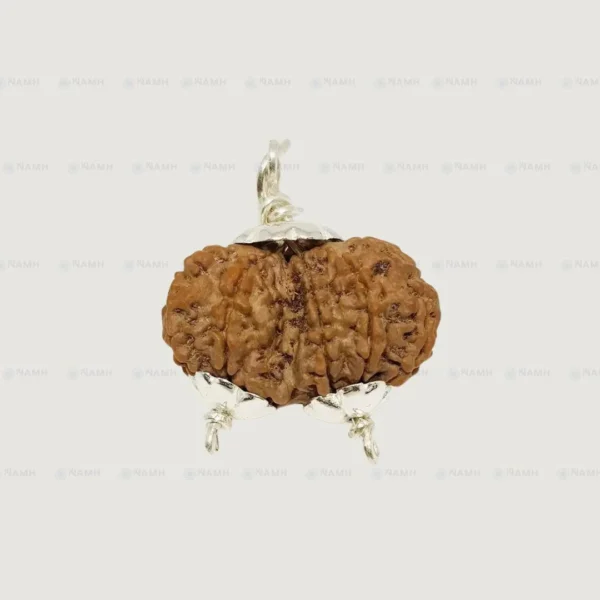 Gauri Shankar Rudraksha Nepali Original