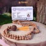 7 Mukhi Rudraksha Mala