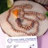 7 Mukhi Rudraksha Mala