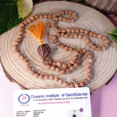 7 Mukhi Rudraksha Mala