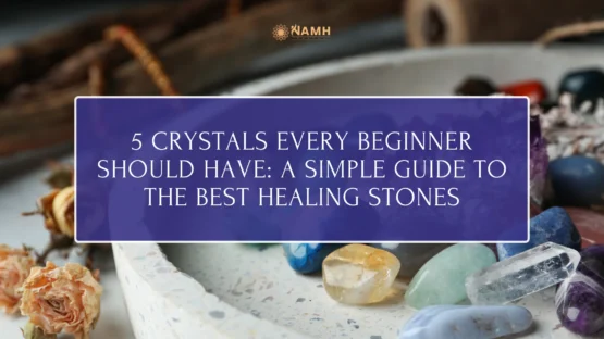 5 Crystals Every Beginner Should Have A Simple Guide to the Best Healing Stones
