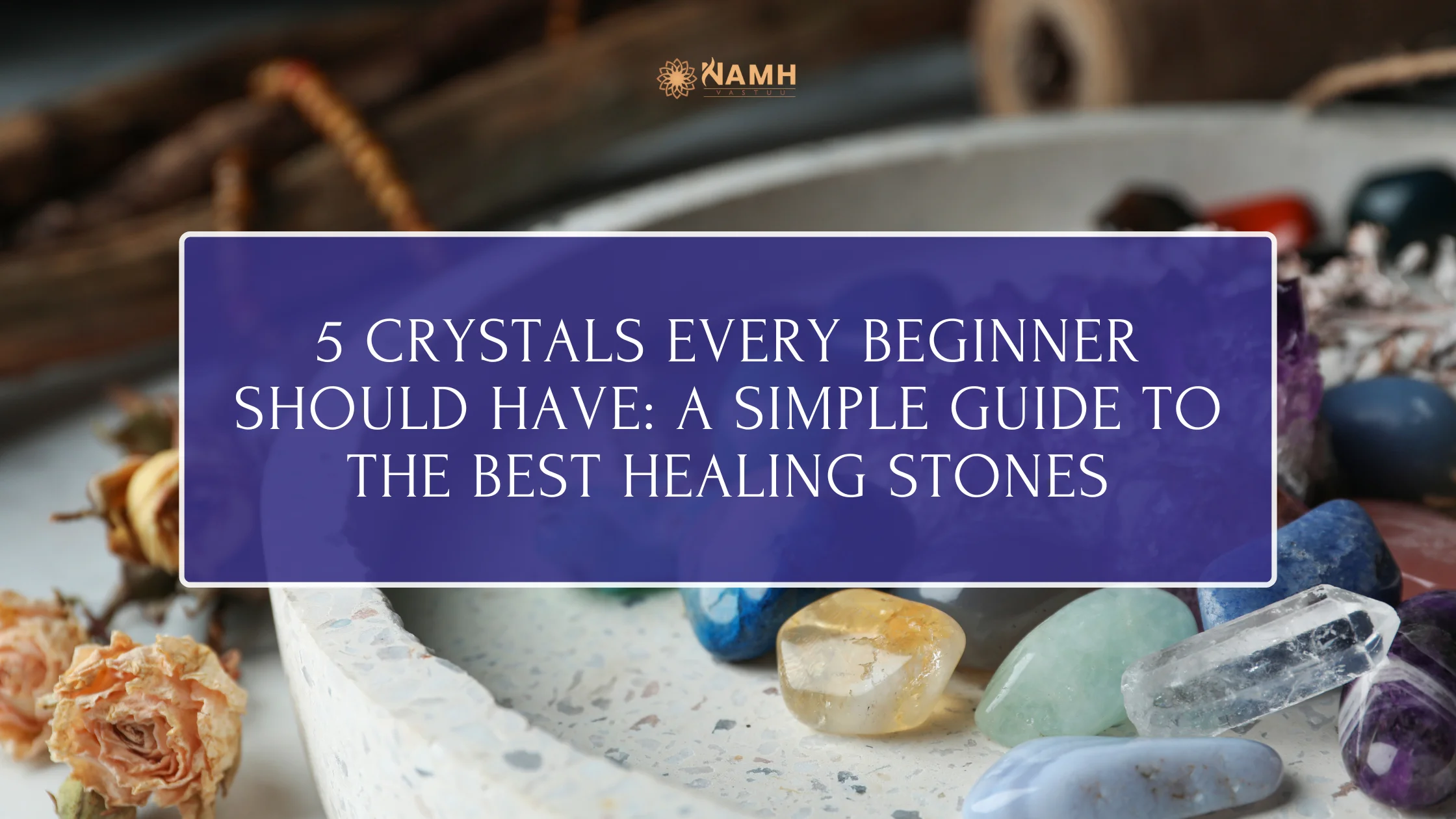 5 Crystals Every Beginner Should Have: A Simple Guide to the Best Healing Stones