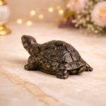 Vastu Pyrite Tortoise back image