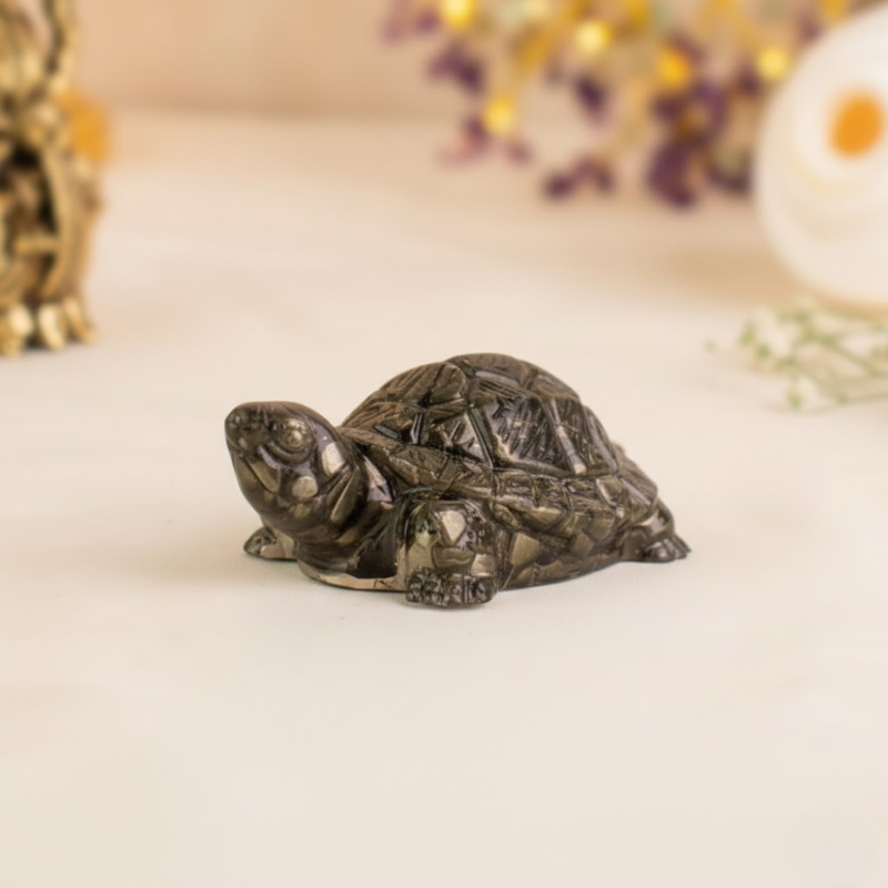 Vastu Pyrite Tortoise side image
